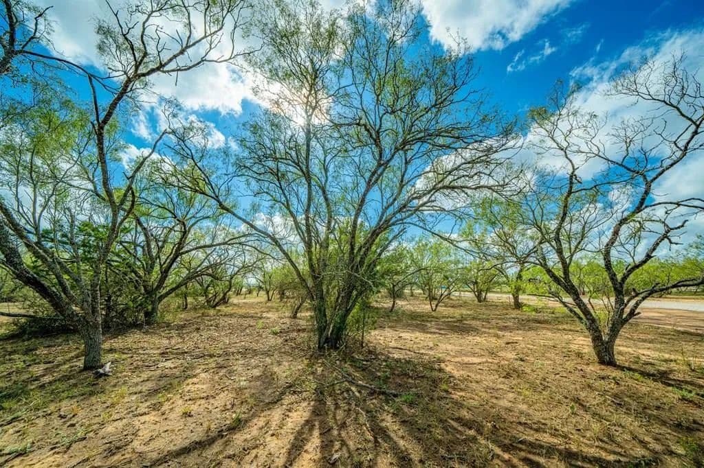 0.18 Acres of Land for Sale in Fredericksburg, Texas - Fredericksburg, Texas, 78624