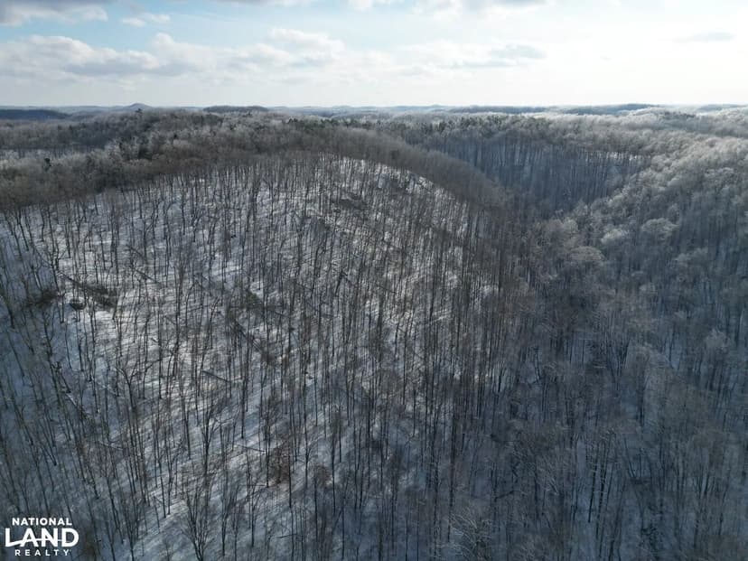 Prime Hunting Tract with Abundant Wildlife, Timber & Year-Round Water