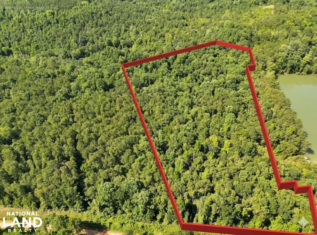 Triple Lot Woodland Escape - Clayton, Alabama, 36016