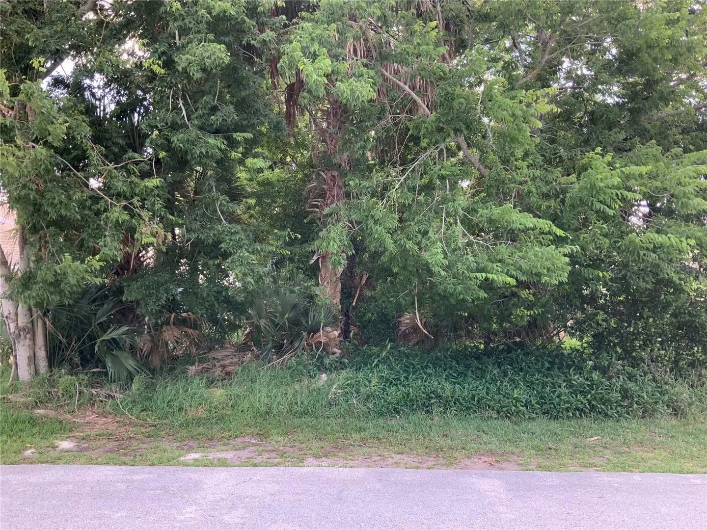 0.17 Acres of Land for Sale in Palm Coast, Florida - Palm Coast, Florida, 32137