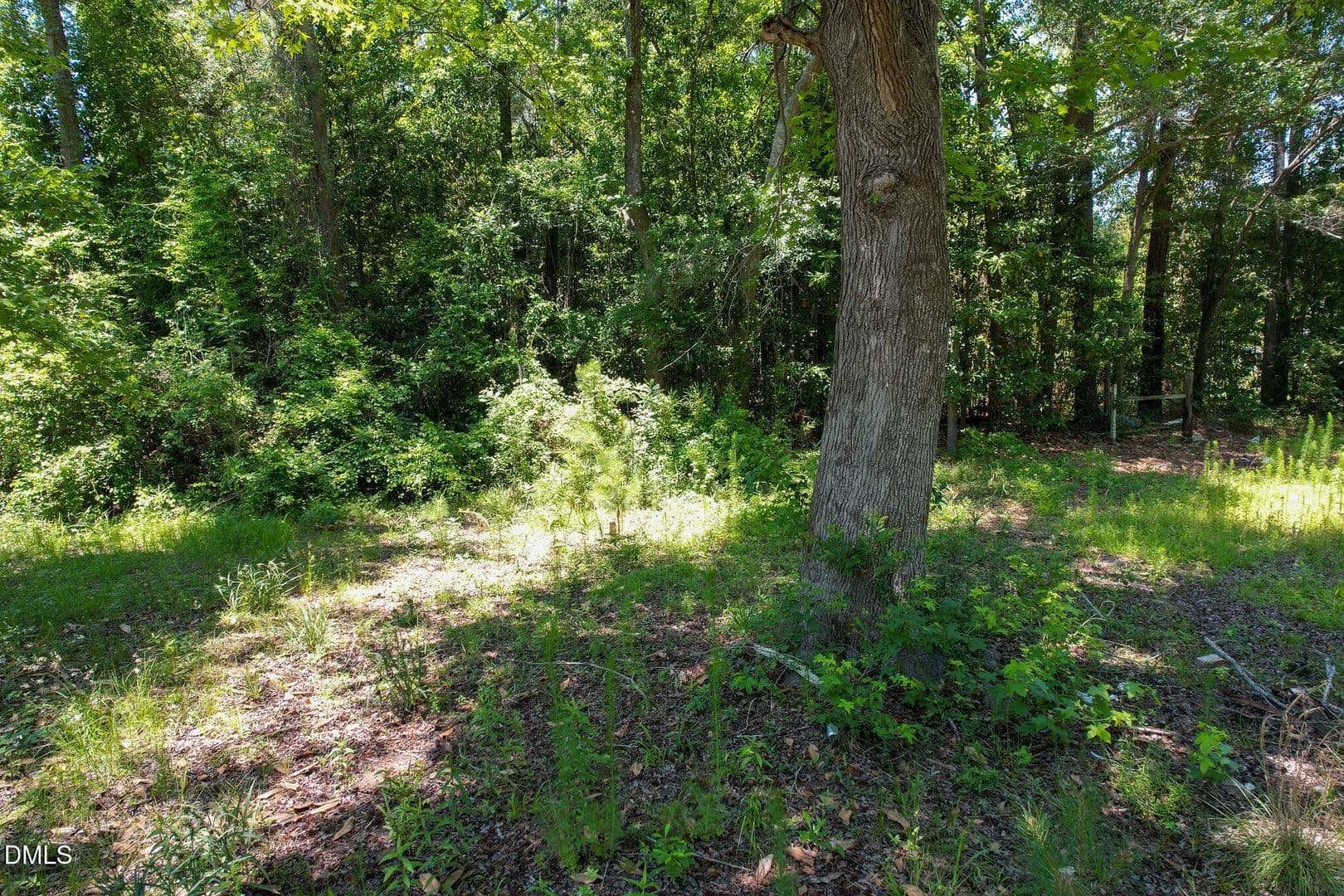 Property from 275 Hamer Street - KW - Fair Bluff, North Carolina, 28439