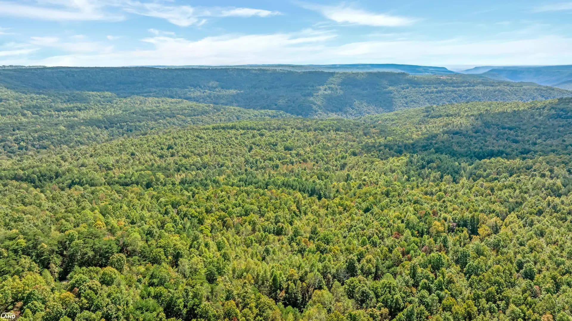 Hunting, Recreation and Timber Tract near Chattanooga - Whitwell, Tennessee, 37397