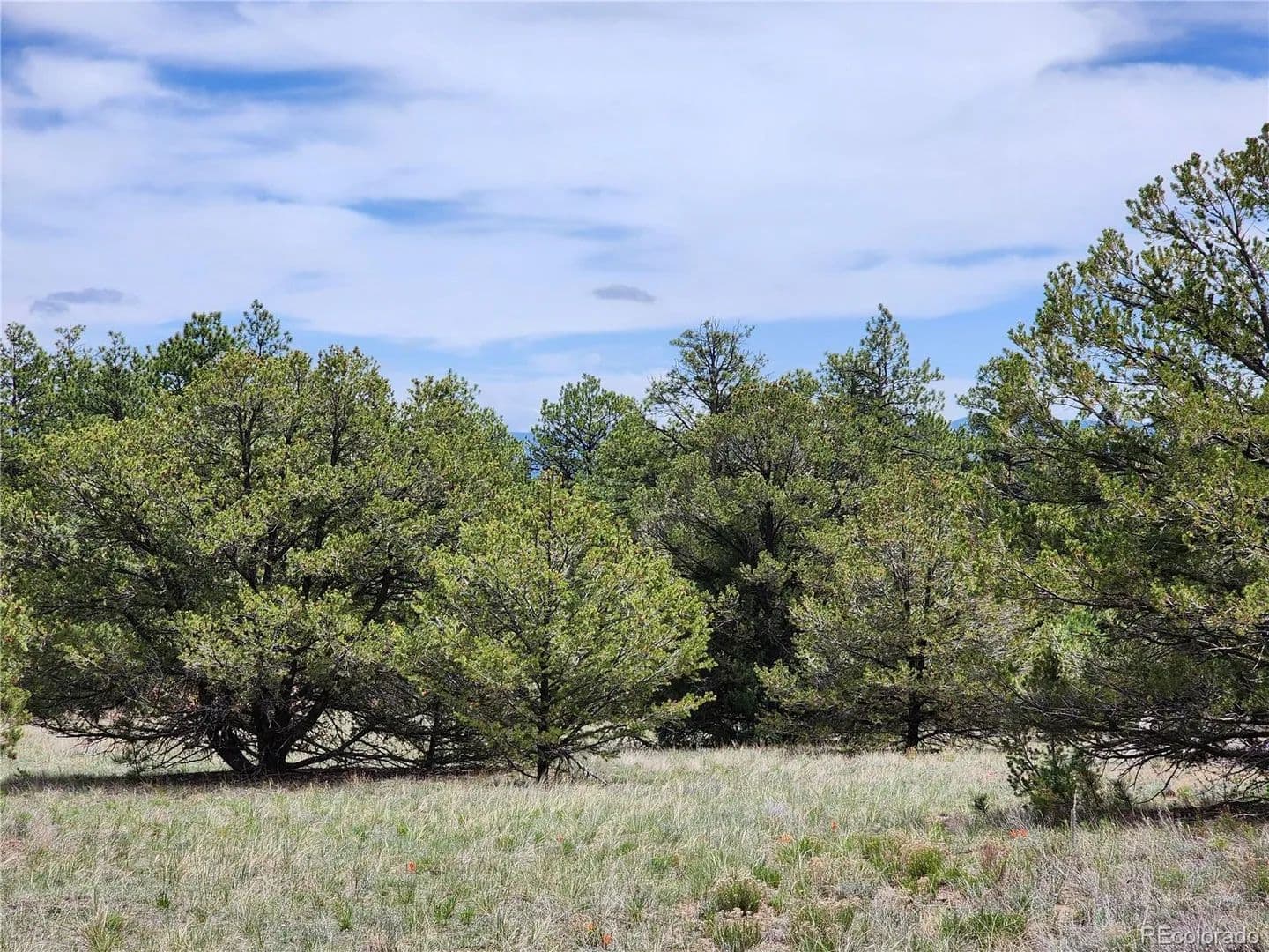 Property from 000 7TH Trail - KW - Cotopaxi, Colorado, 81223
