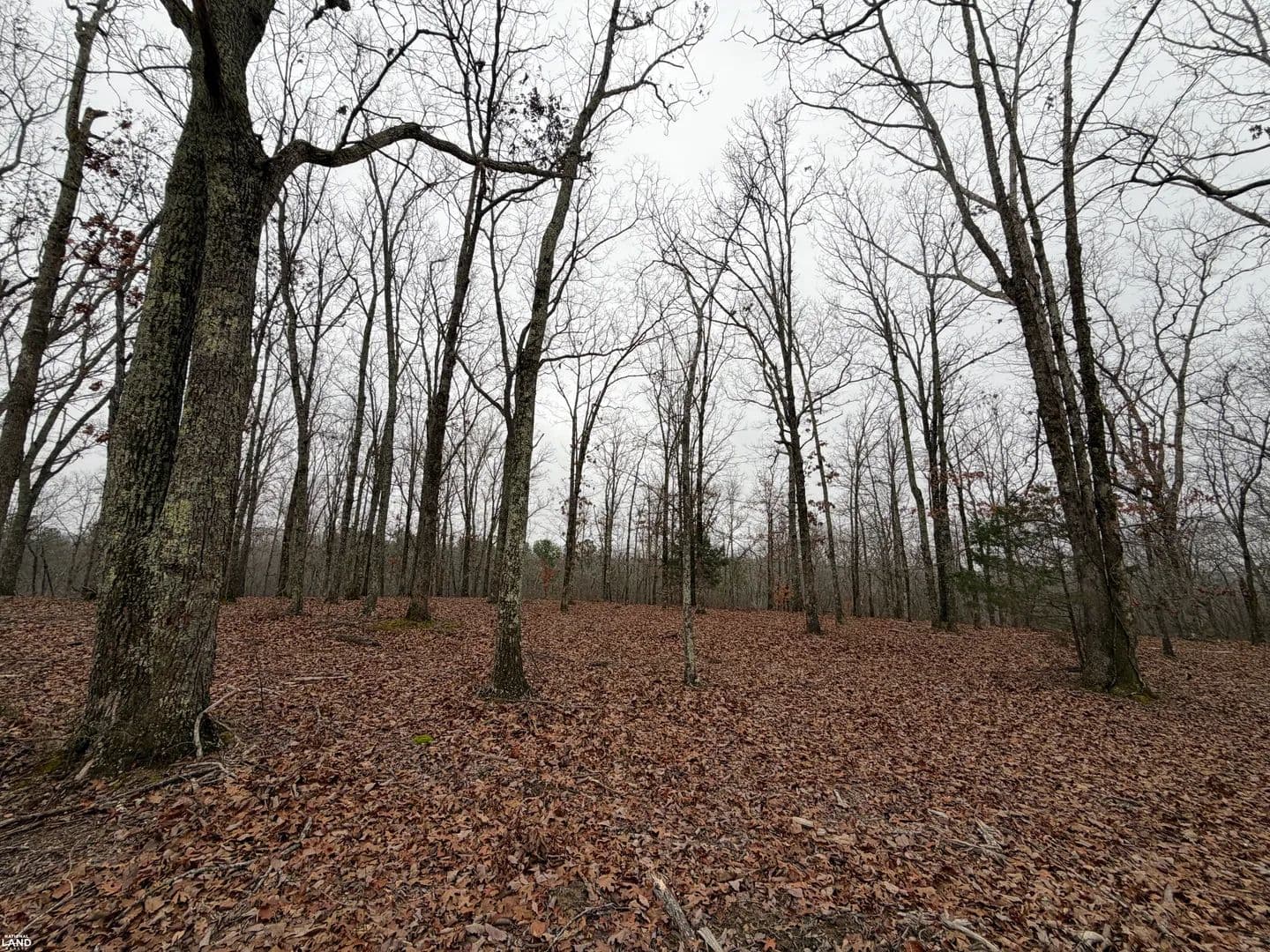 0 Highway 50 East Lot 1 - Centerville, Tennessee, 37033