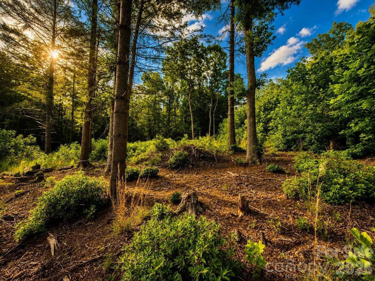 Property from 201 Cross Creek North Ridge Drive #46 - KW - Marion, North Carolina, 28752