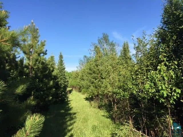 Property from 1142 Camp 20 Rd - KW - Hovland, Minnesota, 55606