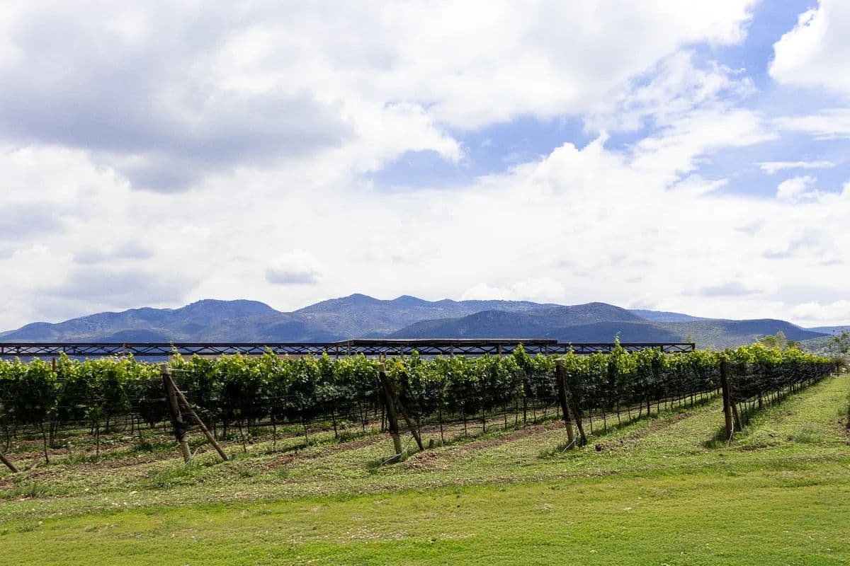 Terreno en Venta en La Santa Vid, San Miguel de Allende – 1,102.19 mm² - land for sale