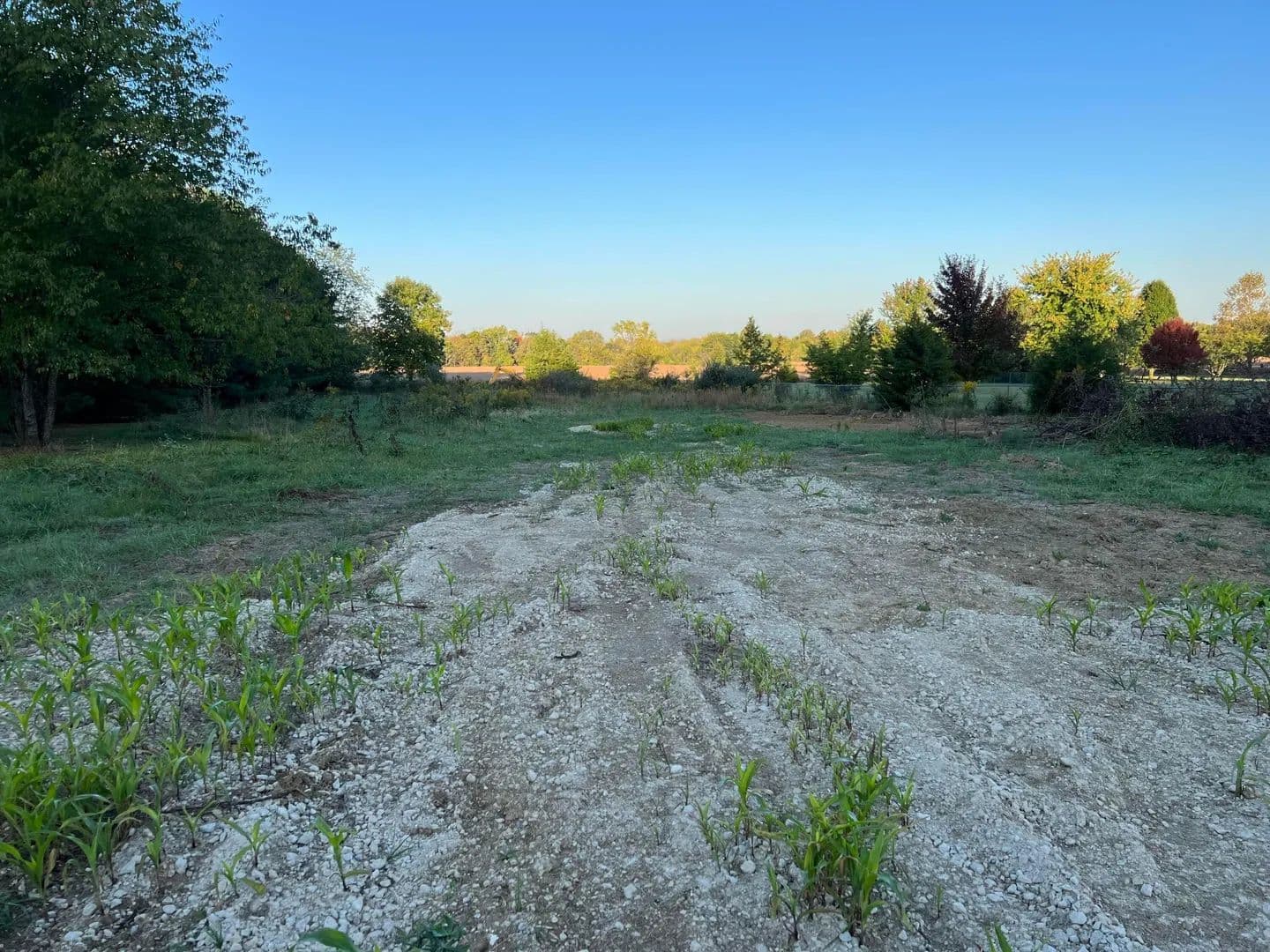 45.62 Acres of Land for Sale in Circleville, Ohio - Circleville, Ohio, 43113