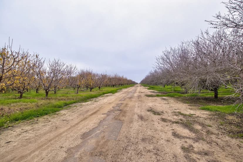 Avenue 48 & Road 168, Earlimart