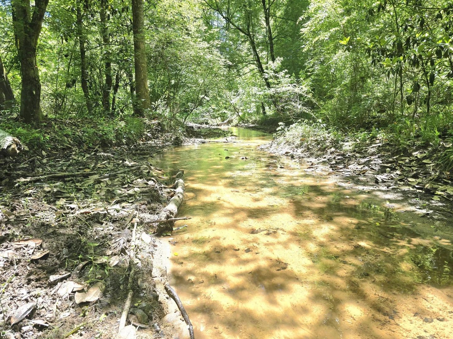 Williams Mill Creek Hunting & Timber Hideaway - Clayton, Alabama, 36016
