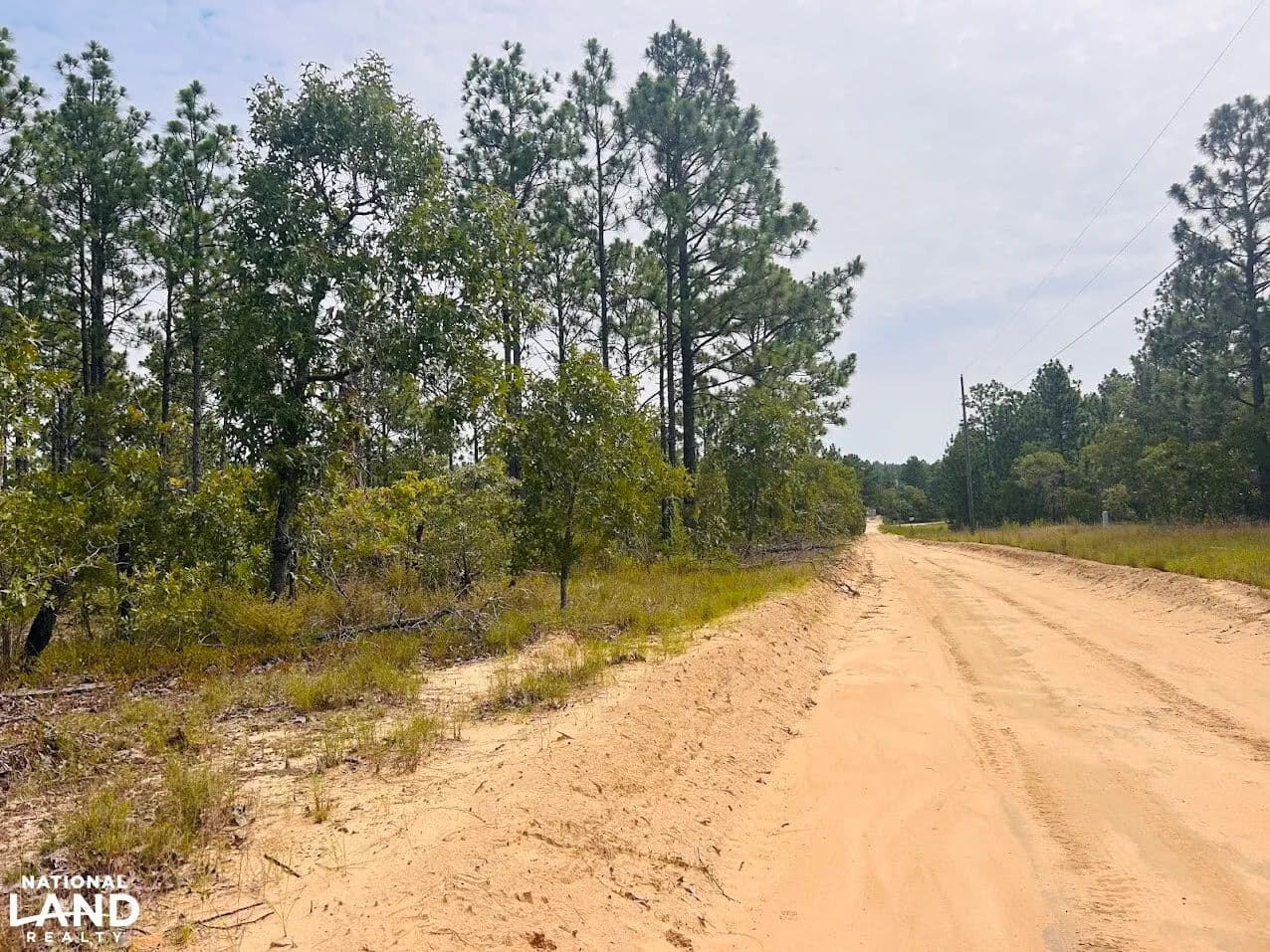 Mauk Wooded Homesite or Campsite - Mauk, Georgia, 31058