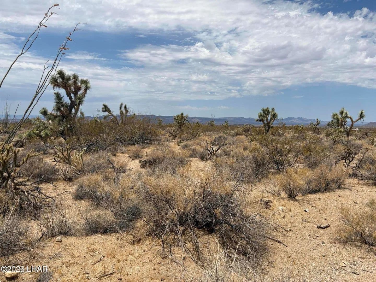 1.24 Acres of Land for Sale in Yucca, AZ - Yucca, Arizona, 86438