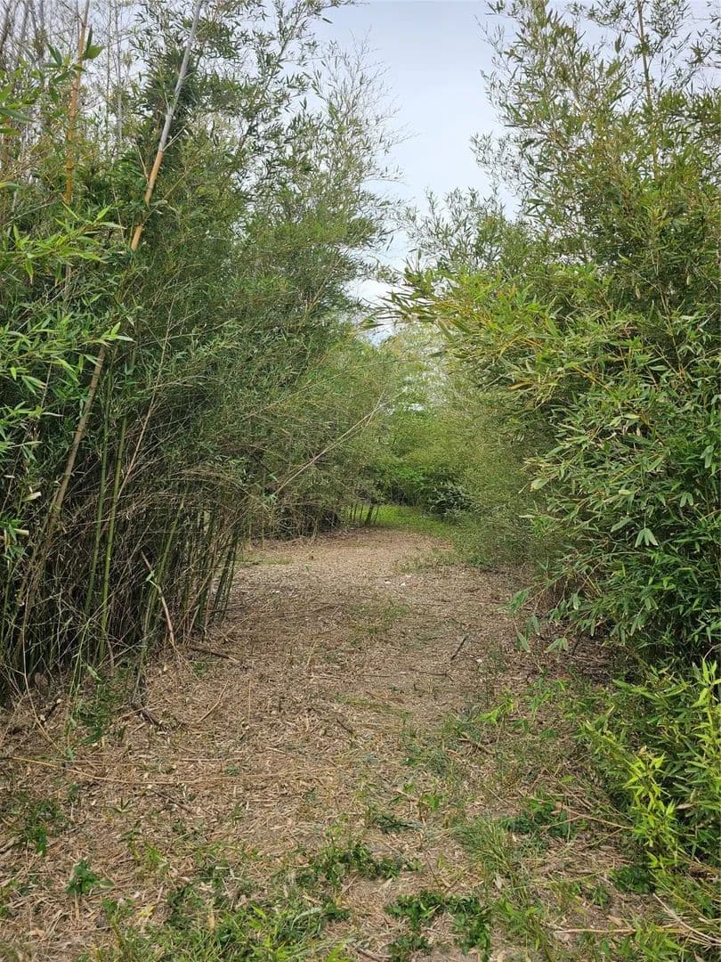 Property from 2920 Avenue Q - KW