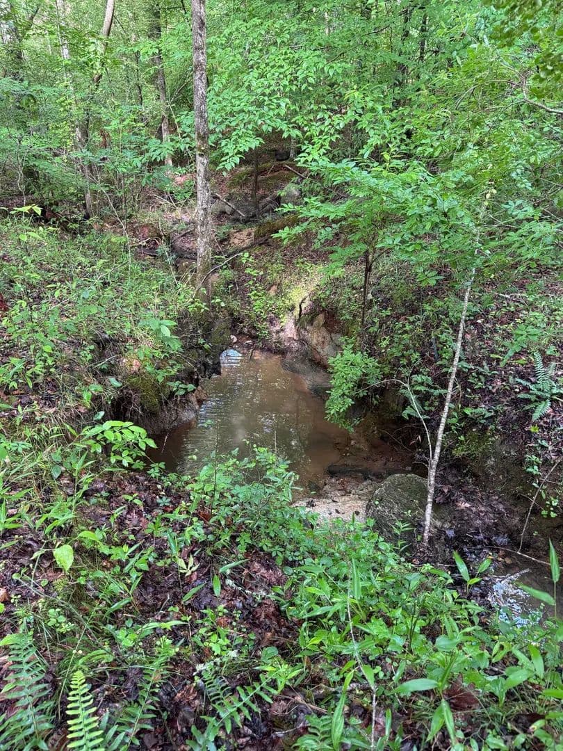56.42 +/- Acres Po Biddy Road Tract - Thomaston, Georgia, 30286