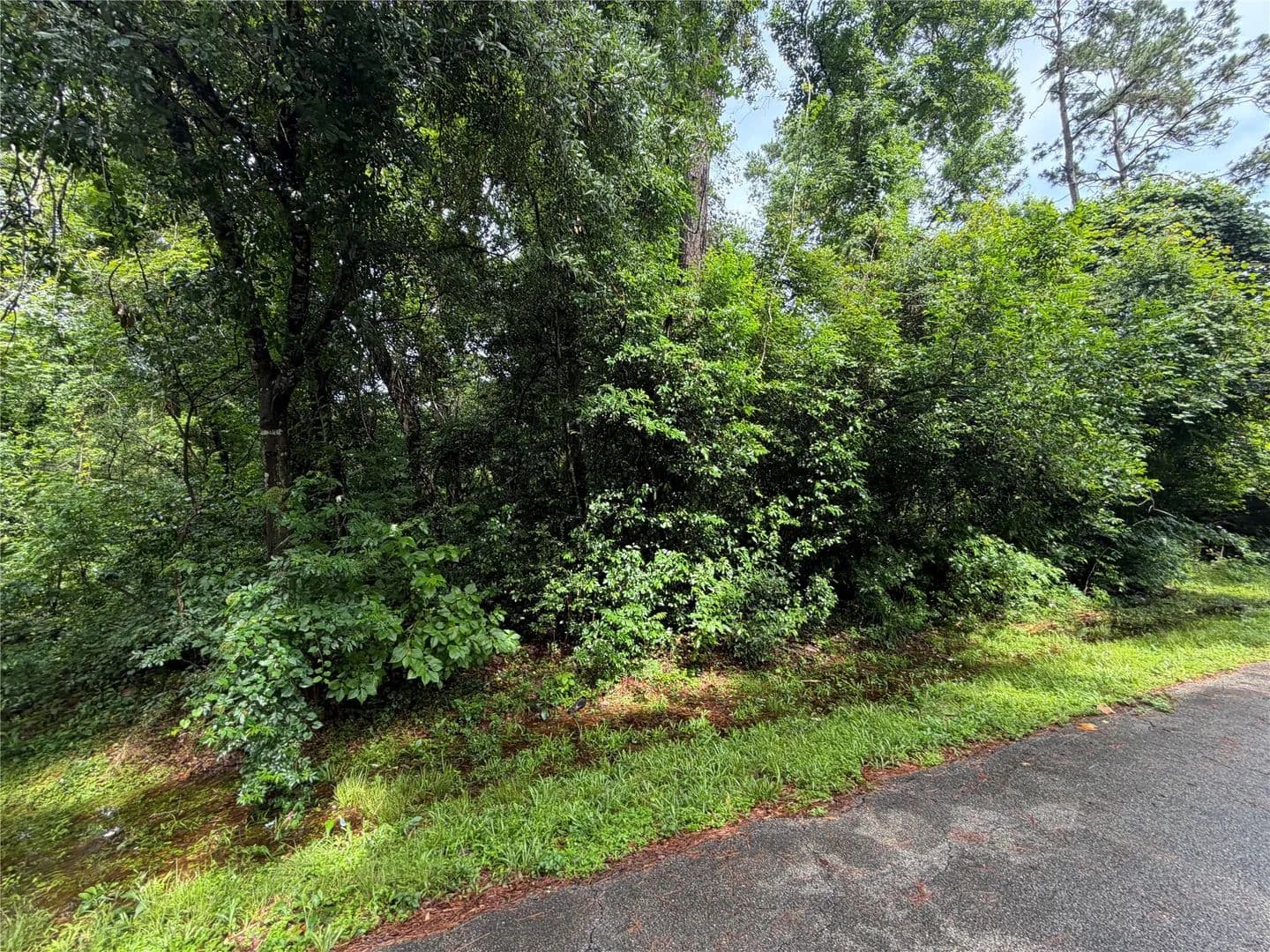0.24 Acres of Land for Sale in New Caney, Texas - New Caney, Texas, 77357
