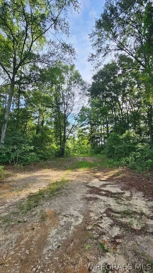 Property from 931 County Road 216 - KW - Ariton, Alabama, 36311