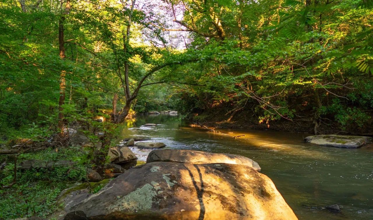 311 Acres at Lyle Branch in Tuscaloosa County - Brookwood, Alabama, 35444
