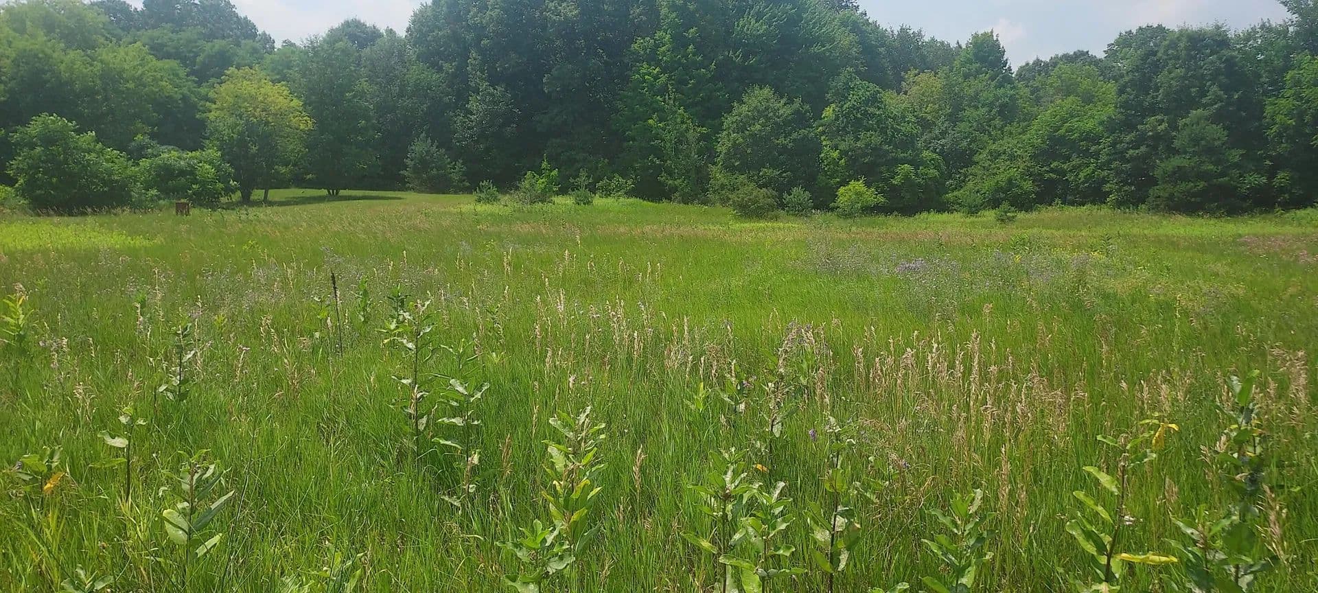 Lots & Land-Other in Coral - Coral, Michigan, 49322