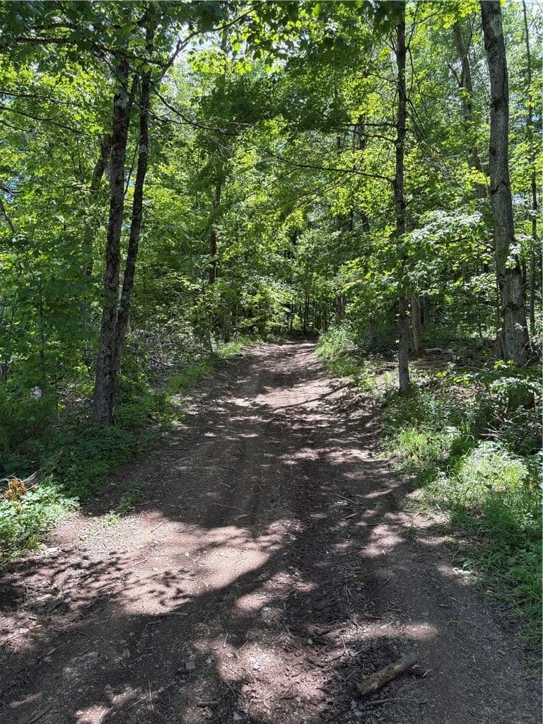 32 Acres of Land for Sale in Norwich, NY - Norwich, New York, 13815