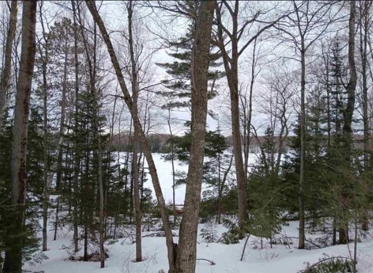 Waterfront Lot in Gogebic County 50203317 - land for sale