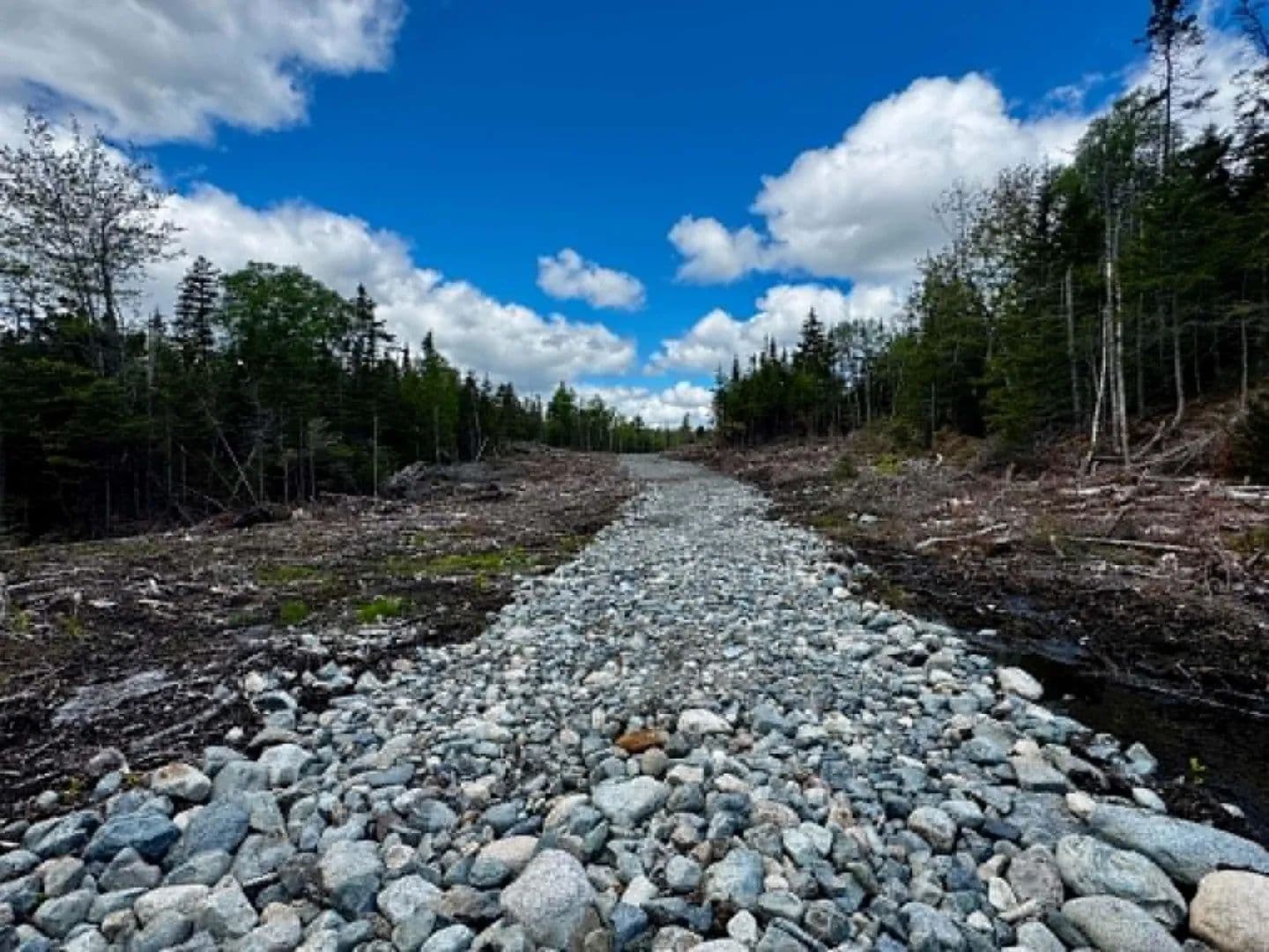 56.1 Acres of Land for Sale in Machiasport, Maine - Machiasport, Maine, 04655
