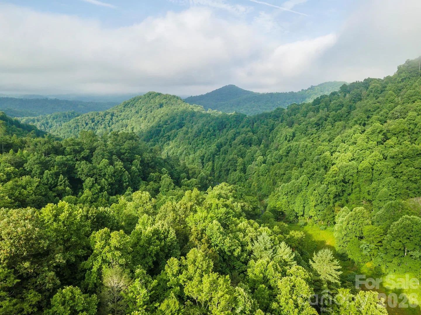 25 Acres of Land for Sale in Green Mountain, NC - Green Mountain, North Carolina, 28740