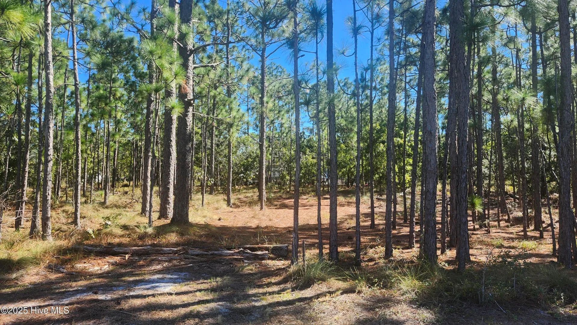 Property from Lot 303 Mission Road - KW - Southport, North Carolina, 28461