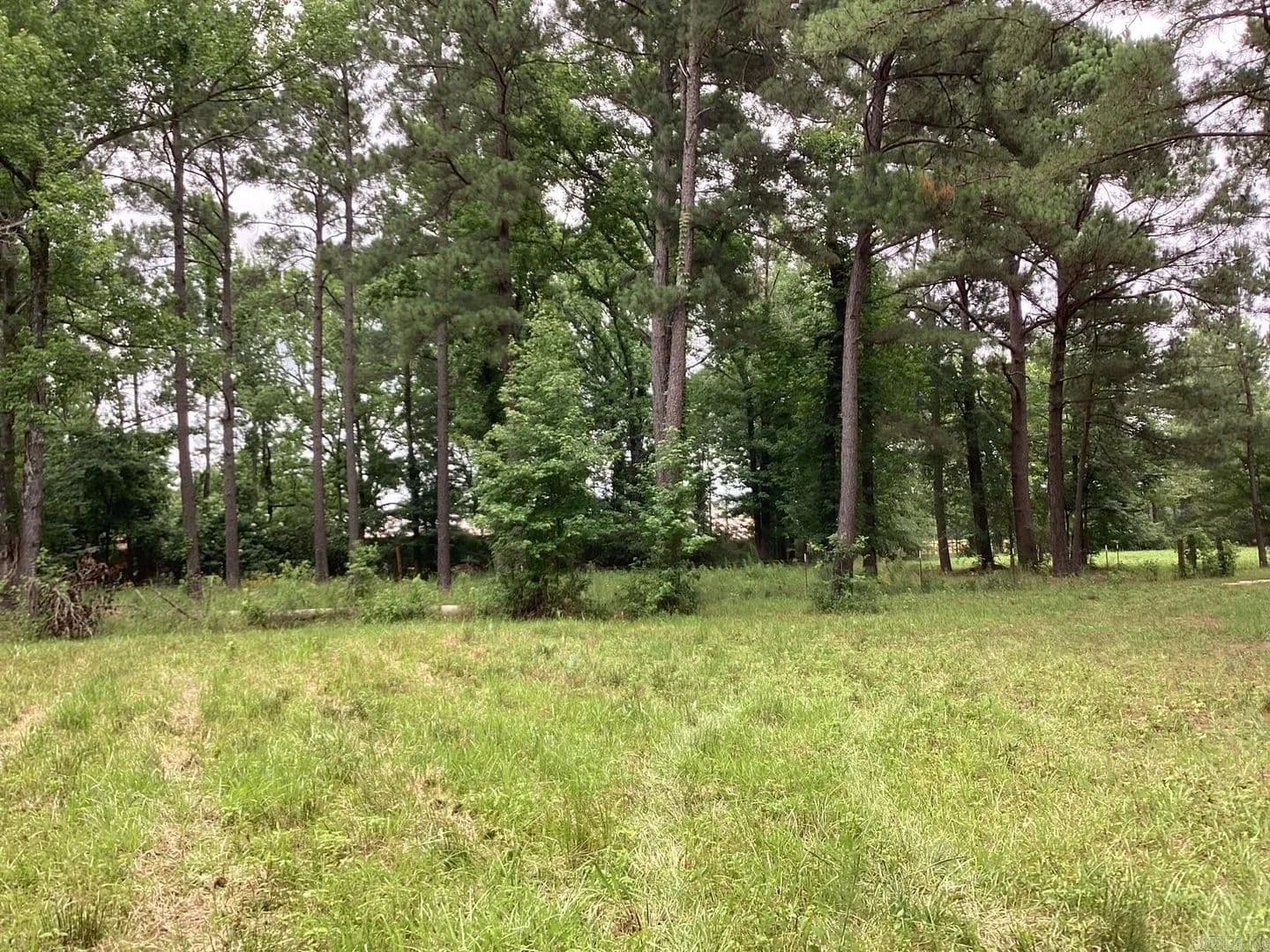 Property from Hwy 24 E & Nevada 249 N - KW - Prescott, Arkansas, 71857