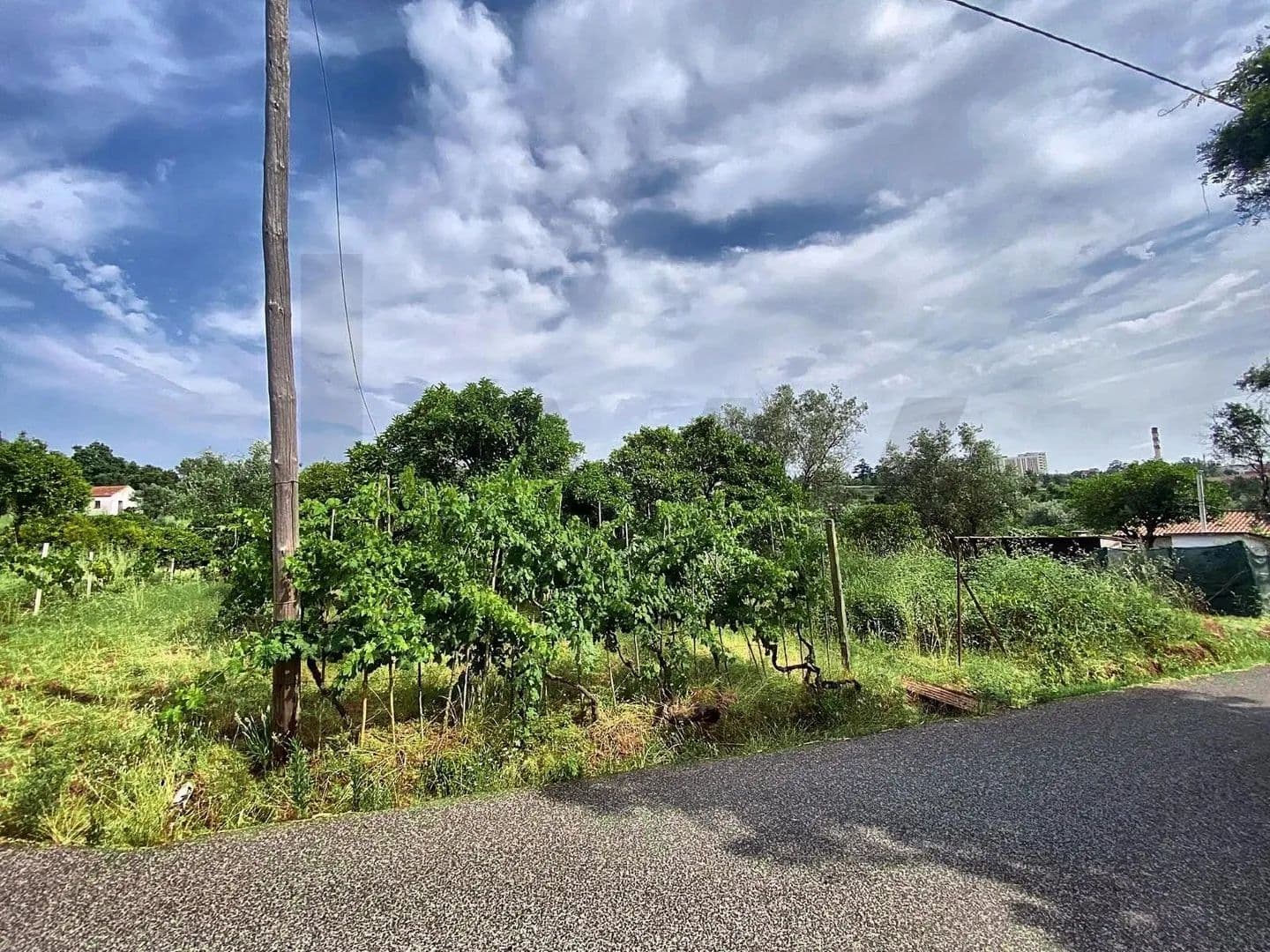 2790 Acres of Land for Sale in Santo António dos Olivais, Coimbra - Portugal