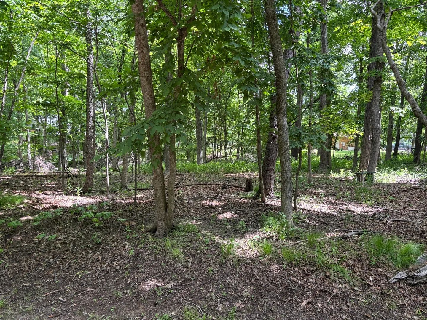 Property from 1101/1102 Jay Court - KW - Varna, Illinois, 61375