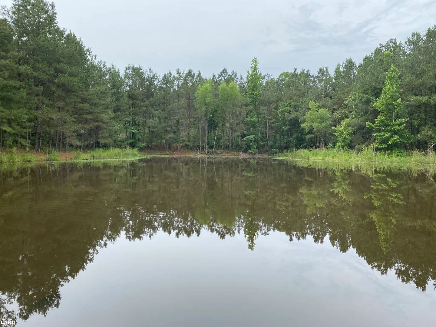 Thornton 165 Recreational & Timberland Tract - Thornton, Arkansas, 71766