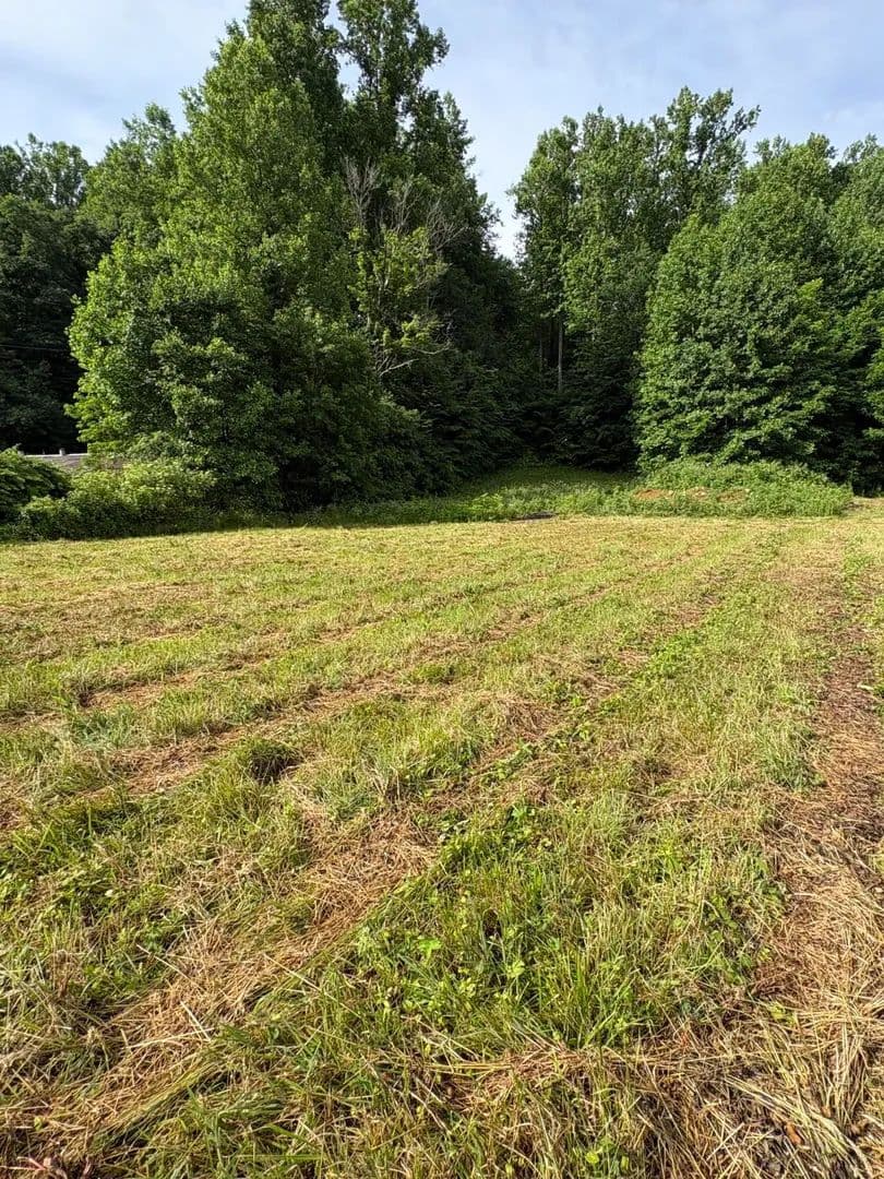 Property from 201 Tennessee 32 - KW - Cosby, Tennessee, 37722