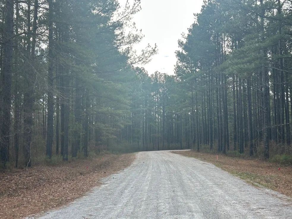 Land -Agricultural (Not Zoned) in Carrollton - land for sale