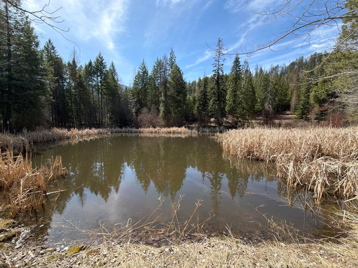 Property from 20XX DUNN MOUNTAIN WAY - KW - Addy, Washington, 99101