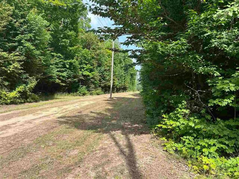 Property from 4856 Star Chief Trail - KW