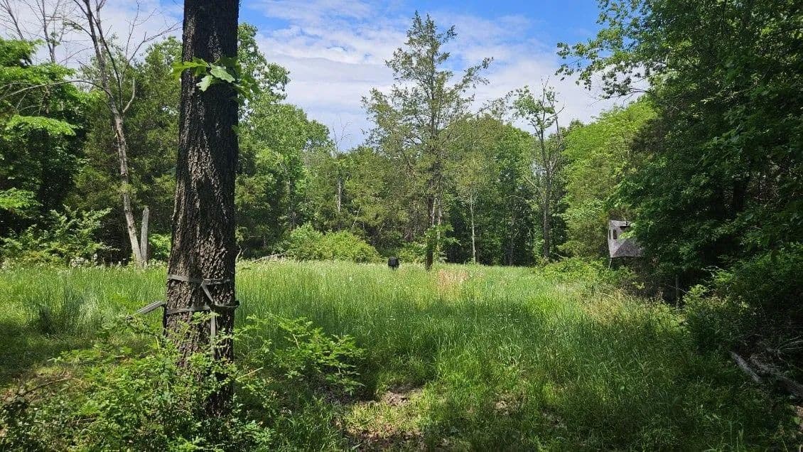 18.77 Acres of Land for Sale in Rogersville, MO - Rogersville, Missouri, 65742