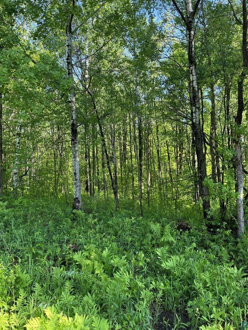 4.77 Acres of Land for Sale in Hermantown, Minnesota - Hermantown, Minnesota, 55811