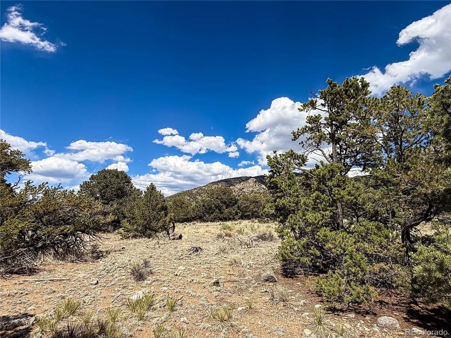 Property from 107 Crosstimber Lane - KW - Mosca, Colorado, 81146