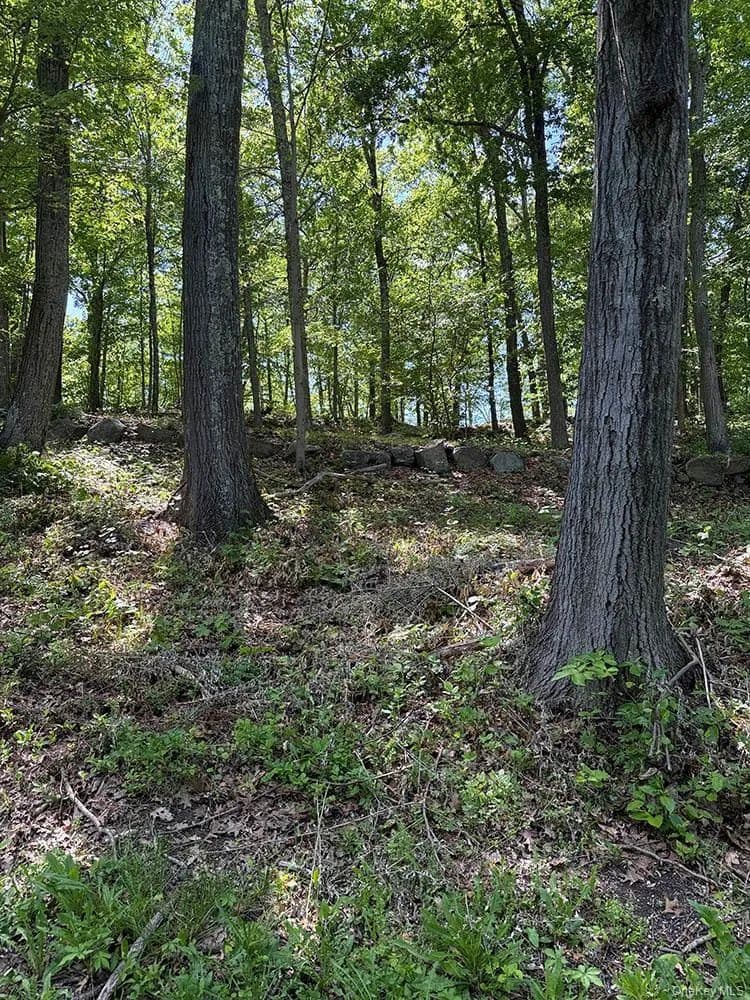 Land for Sale in Brewster, New York - Brewster, New York, 10509