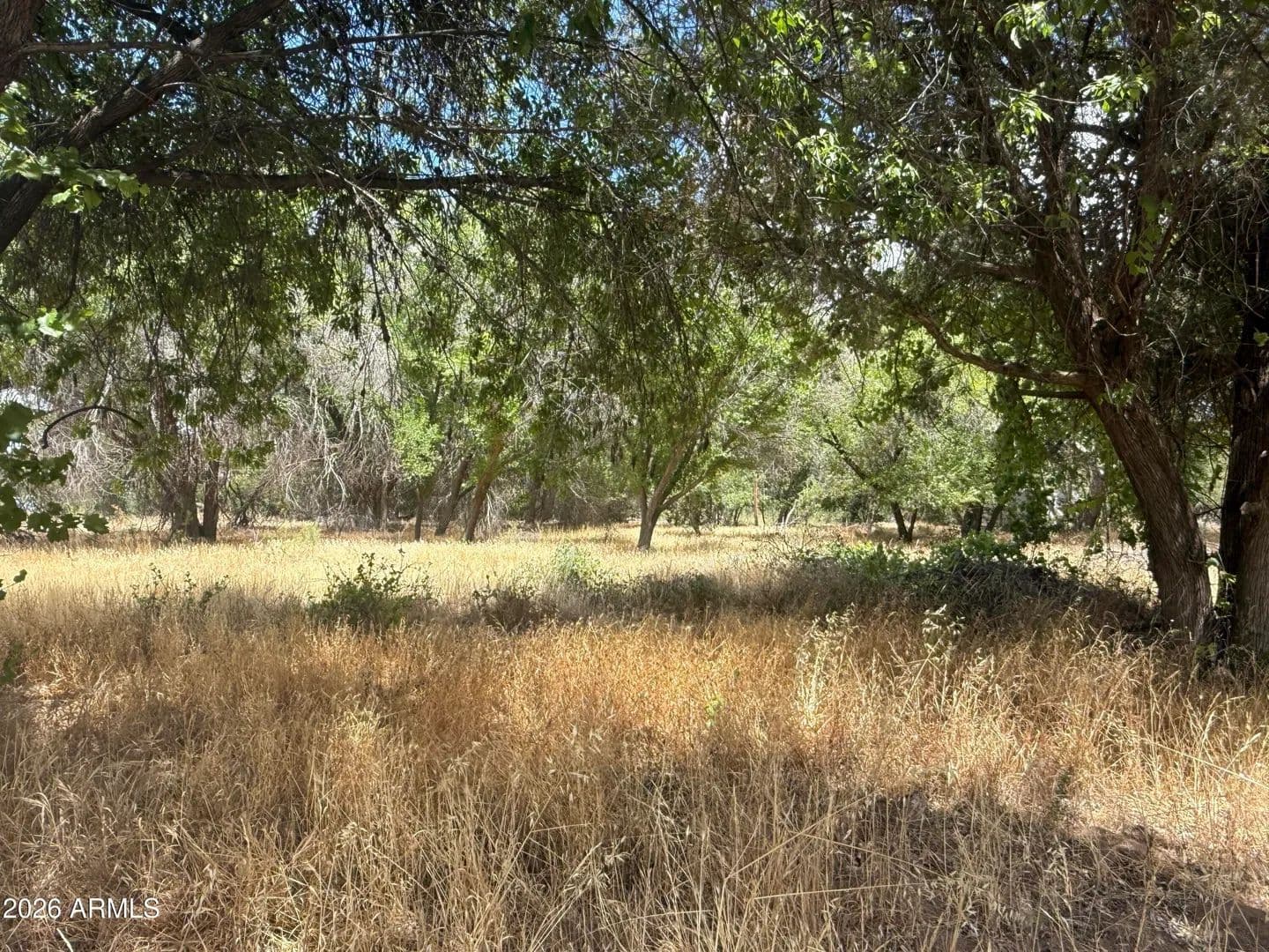 Property from 3085 S Hilltop Drive #544 - KW - Camp Verde, Arizona, 86322