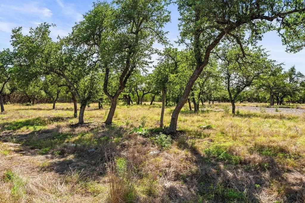 Property from 300 Stonegate Lane - KW - Dripping Springs, Texas, 78620