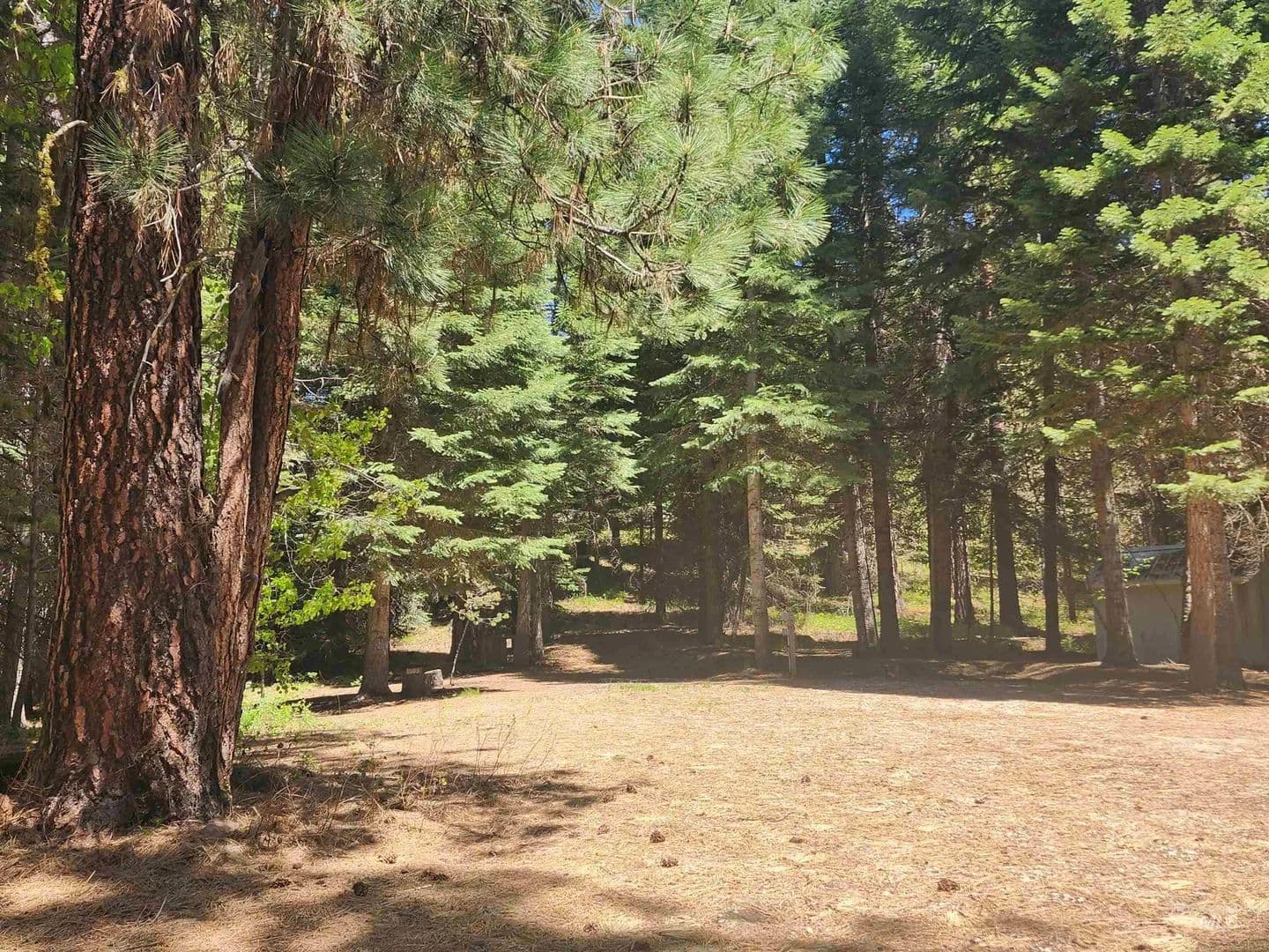 Property from 9544 Packer John Rd - KW - Cascade, Idaho, 83611