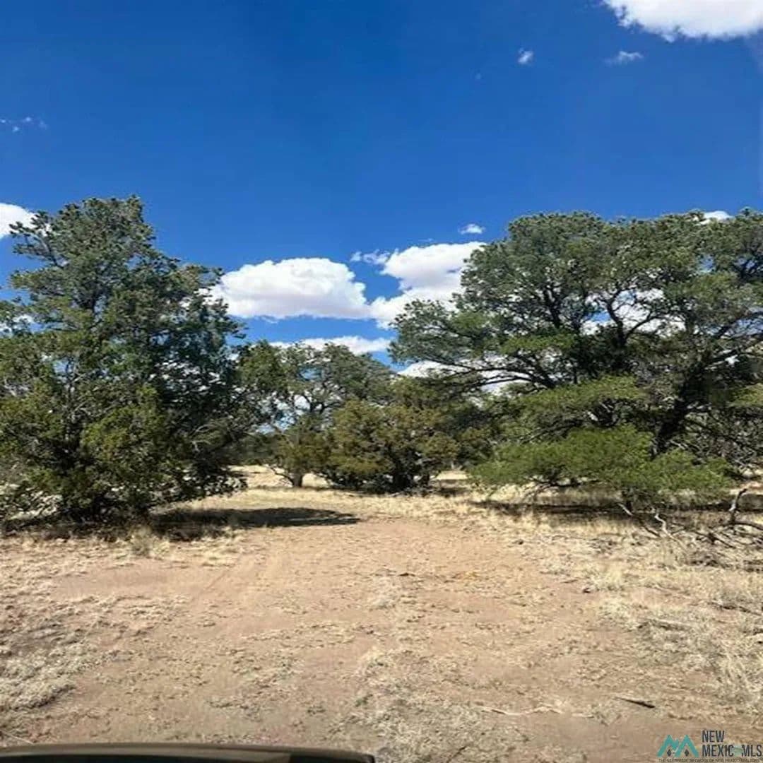 80 Acres of Land for Sale in Pie Town, NM - Pie Town, New Mexico, 87827