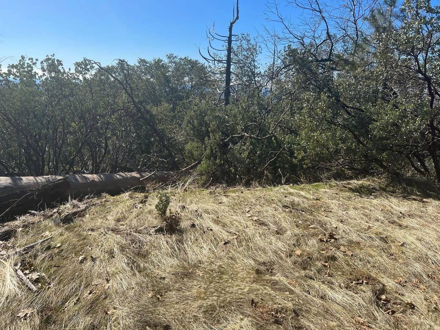 Property from 6225 Old Mill Road - KW - Mariposa, California, 95338