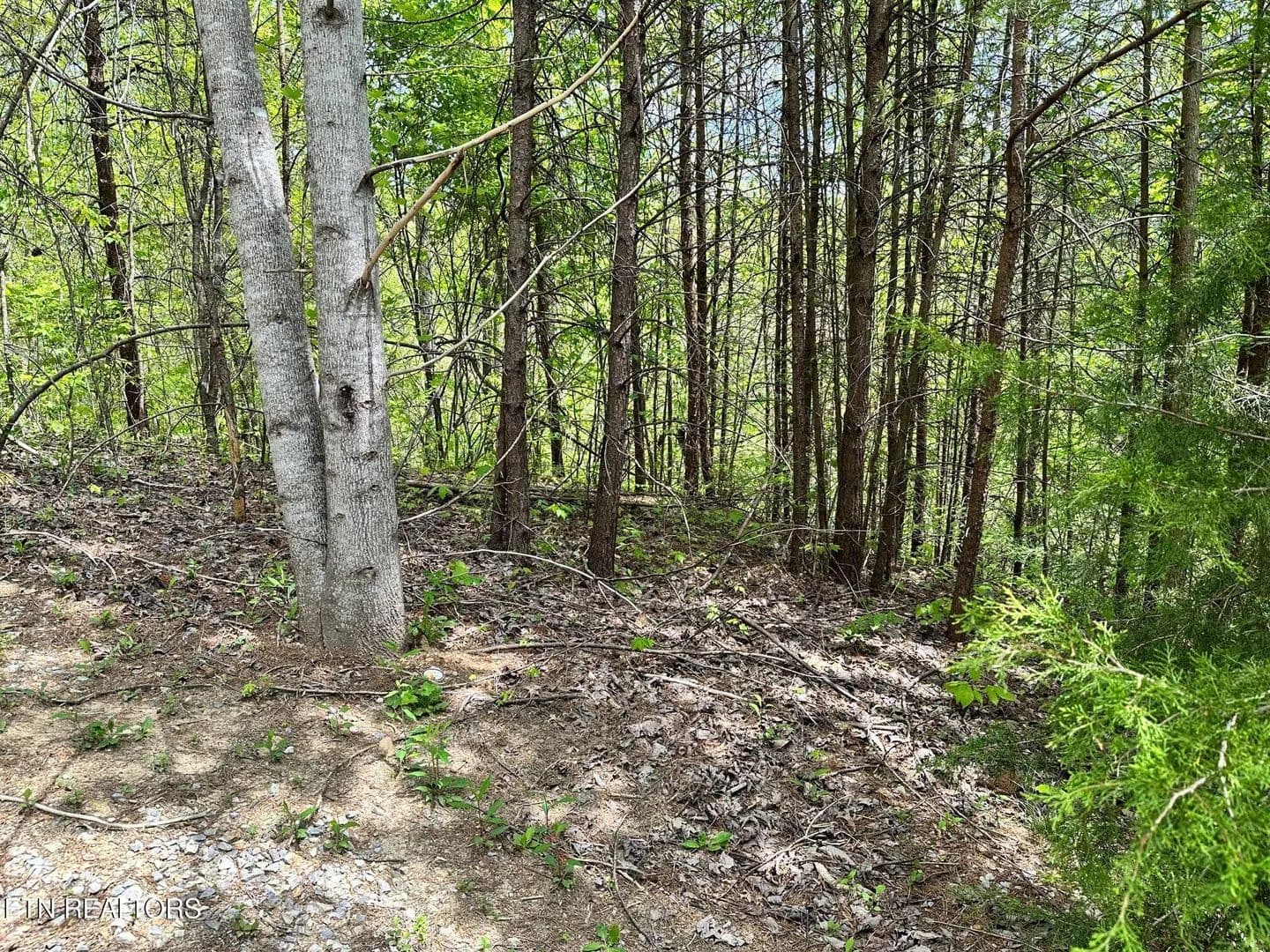 Property from 1430 Mountain Dreams Way - KW - Sevierville, Tennessee, 37862