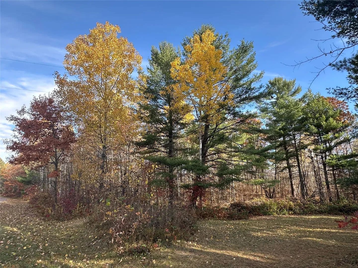 1.37 Acres of Land for Sale in Springbrook, WI - Springbrook, Wisconsin, 54875