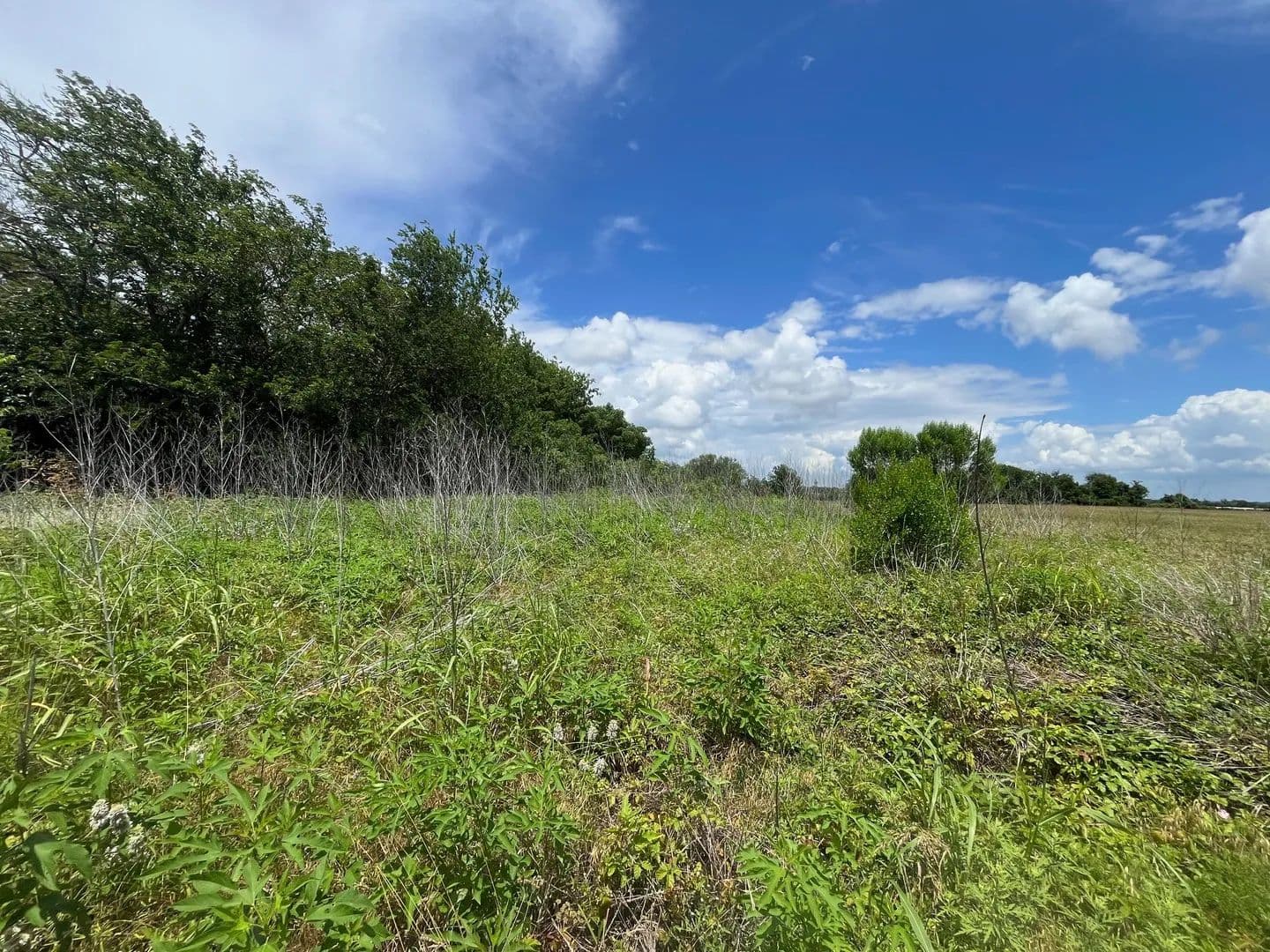 8 Acres of Land for Sale in La Grange, Texas - La Grange, Texas, 78945