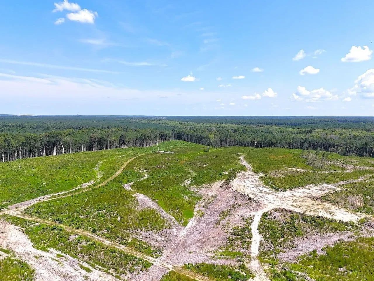125+/- Acres of Hunting & Investment Land for Sale in Sussex County, VA! - Waverly, Virginia, 23890