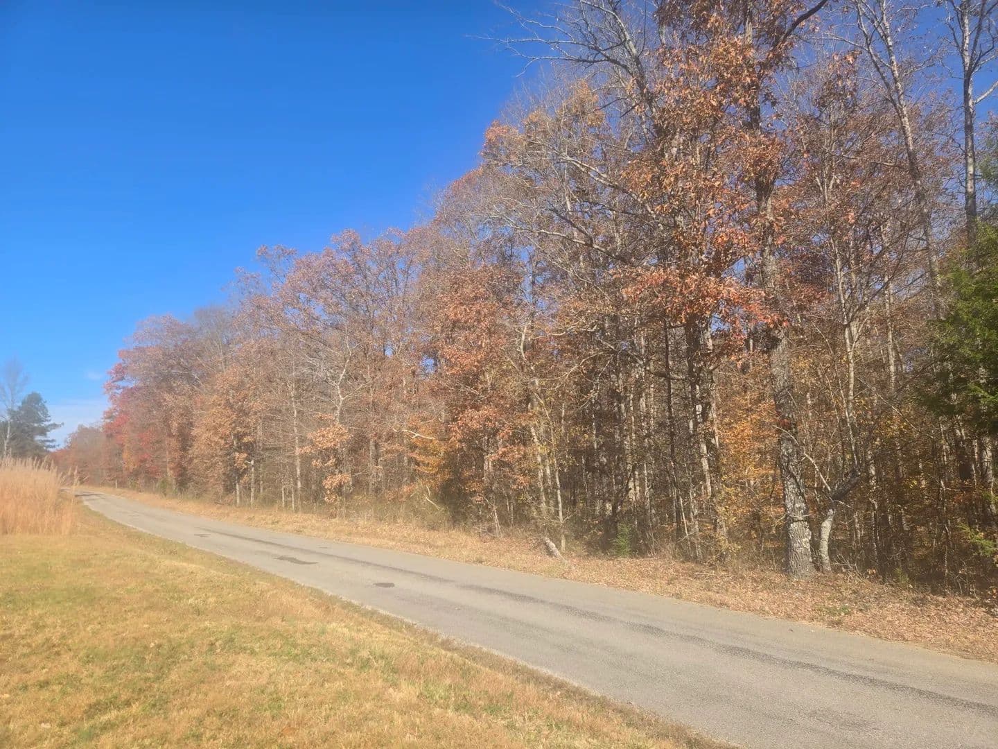 140 Acres of Land for Sale in Westpoint, Tennessee - Westpoint, Tennessee, 38486