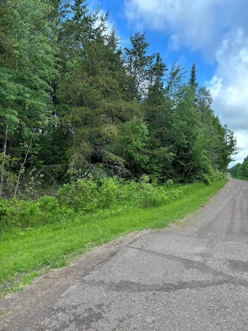 40 Acres of Land for Sale in Bassett Twp, MN - Minnesota, 55602
